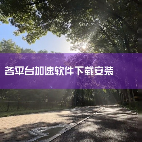 ?一、下载安装包??获取安装包??官方渠道?：访问百度加速器的官方网站，或通过可信的第三方平台（如华军软件园）下载最新版本安装包?12。?文件格式?：下载完成后，文件通常为.exe格式的安装程序。?二,