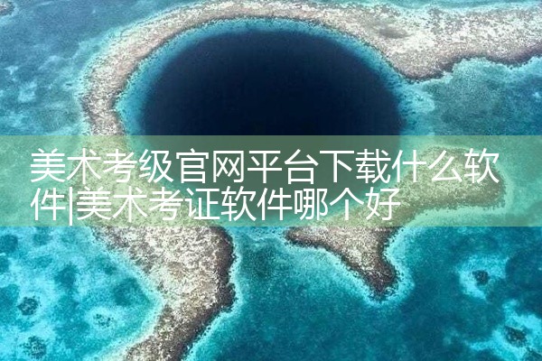美术考级官网平台下载什么软件